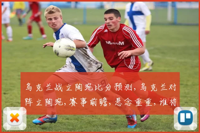 乌克兰战立陶宛比分预测,乌克兰对阵立陶宛,赛事前瞻,悬念重重,谁将夺魁