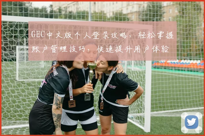GEC中文版个人登录攻略，轻松掌握账户管理技巧，快速提升用户体验，享受便捷服务体验